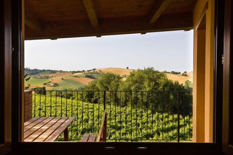 Agriturismo Vecchio Gelso Ortezzano Zewnętrze zdjęcie