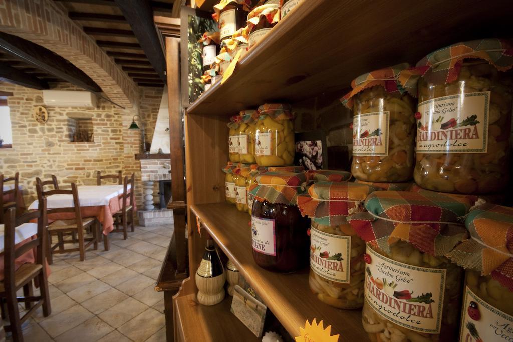 Agriturismo Vecchio Gelso Ortezzano Zewnętrze zdjęcie