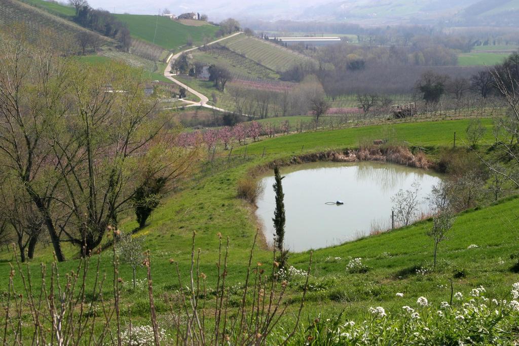 Agriturismo Vecchio Gelso Ortezzano Zewnętrze zdjęcie