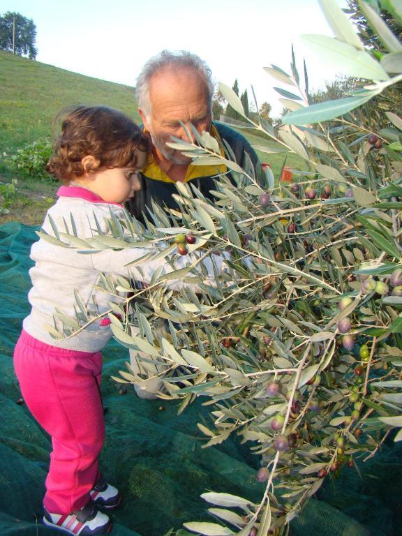Agriturismo Vecchio Gelso Ortezzano Zewnętrze zdjęcie