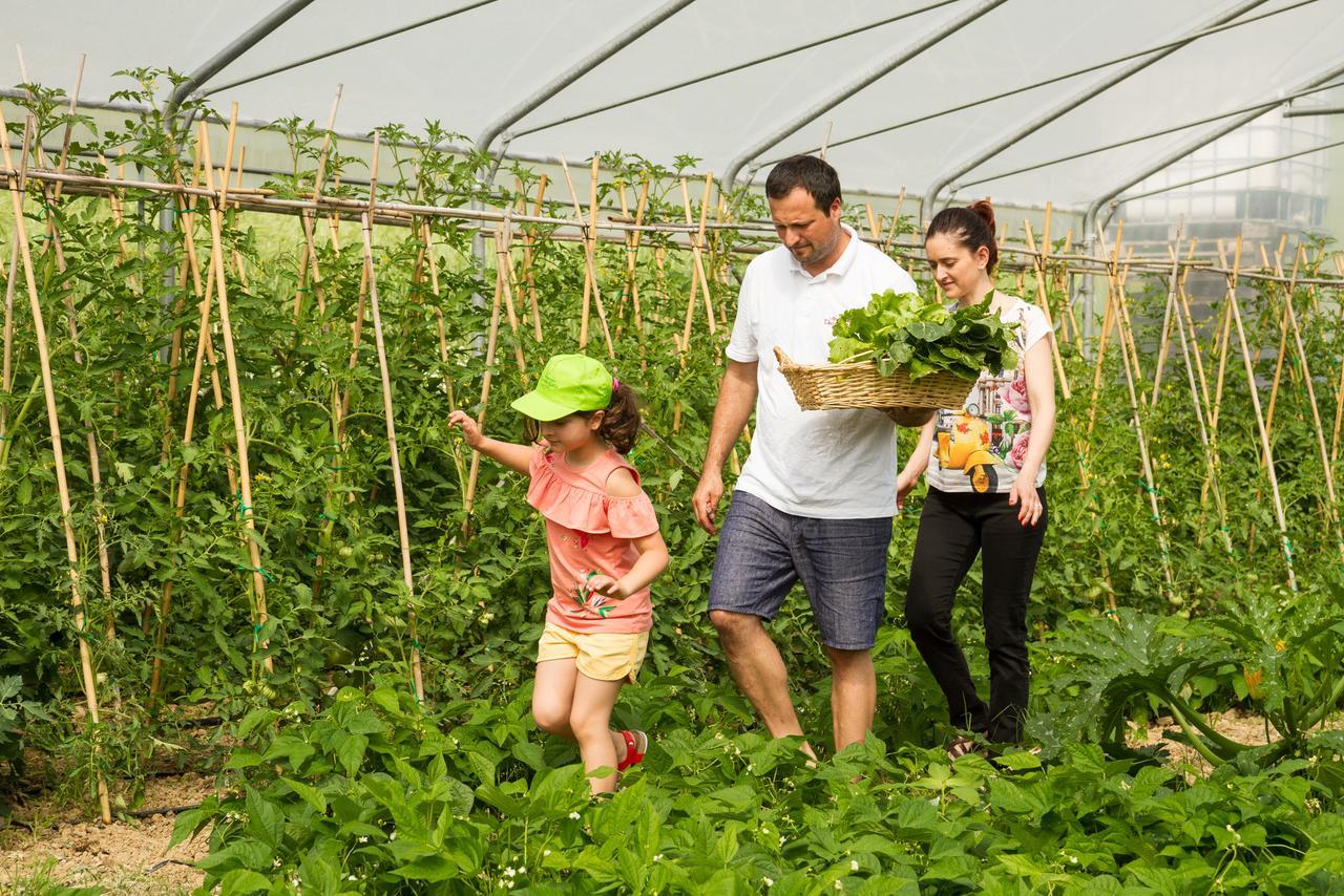 Agriturismo Vecchio Gelso Ortezzano Zewnętrze zdjęcie
