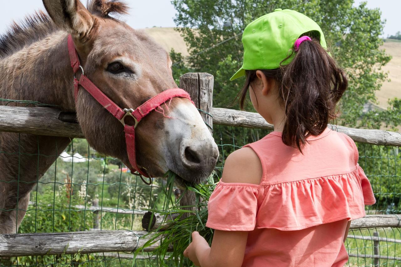 Agriturismo Vecchio Gelso Ortezzano Zewnętrze zdjęcie